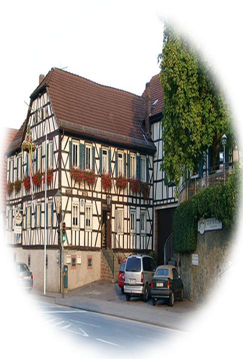 Hotel Gasthaus Zur Traube